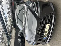 2024 Lexus RX Luxury, серый — фото 1