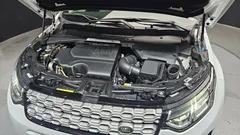 2022 Land Rover Discovery Sport P250 S, белый — фото 6