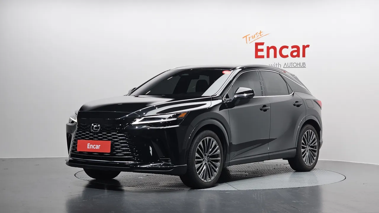 2023 Lexus RX Luxury