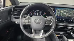 2023 Lexus RX Luxury, чёрный — фото 13