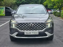 2022 Hyundai Santa Fe Diesel 2.2 4WD — фото 13