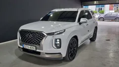 2022 Hyundai Palisade Diesel 2.2 2WD — фото 12