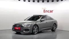 2023 Audi A6 40 TDI Premium, 갈대색 — фото 1