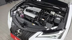 2024 Lexus UX 2.0 F-Sport 2WD, белый — фото 6
