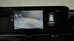 2023 Kia Carnival Diesel 9-Seater Signature — фото 15