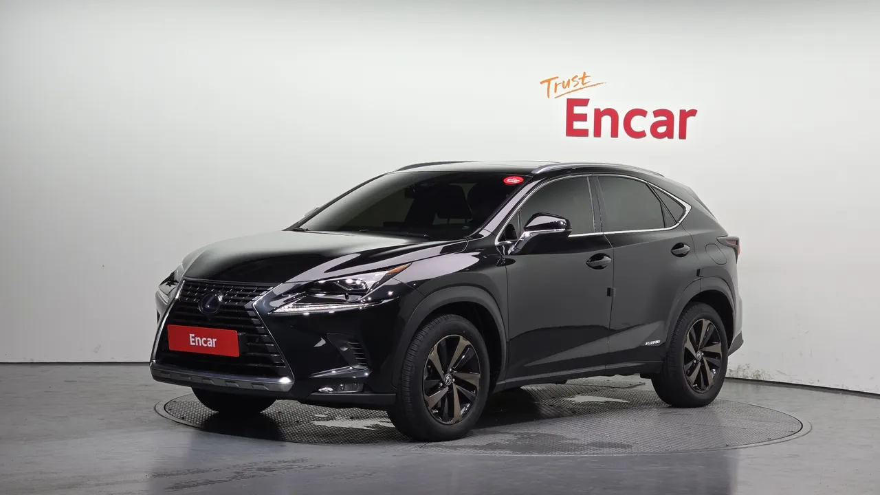 2021 Lexus NX Executive
