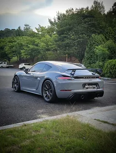 2023 Porsche 718 4.0 GT4, серый — фото 8