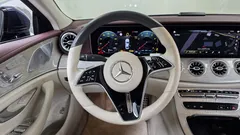 2022 Mercedes-Benz CLS-Class CLS450 4MATIC — фото 13