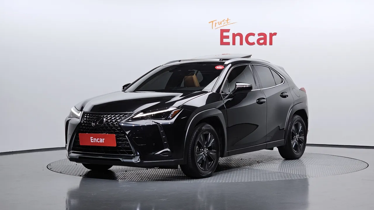 2024 Lexus UX 2.0 2WD