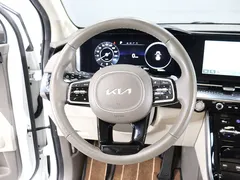 2023 Kia Carnival Gasoline 9-Seater Hi-Limousine — фото 18