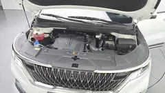 2023 Kia Carnival Gasoline 9-Seater Signature — фото 6