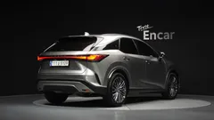 2024 Lexus RX Luxury, 연금색 — фото 2