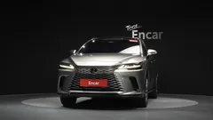2024 Lexus RX Luxury, 연금색 — фото 3