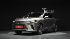 2024 Lexus RX Luxury, 연금색 — фото 11
