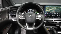 2024 Lexus RX Luxury, 연금색 — фото 17