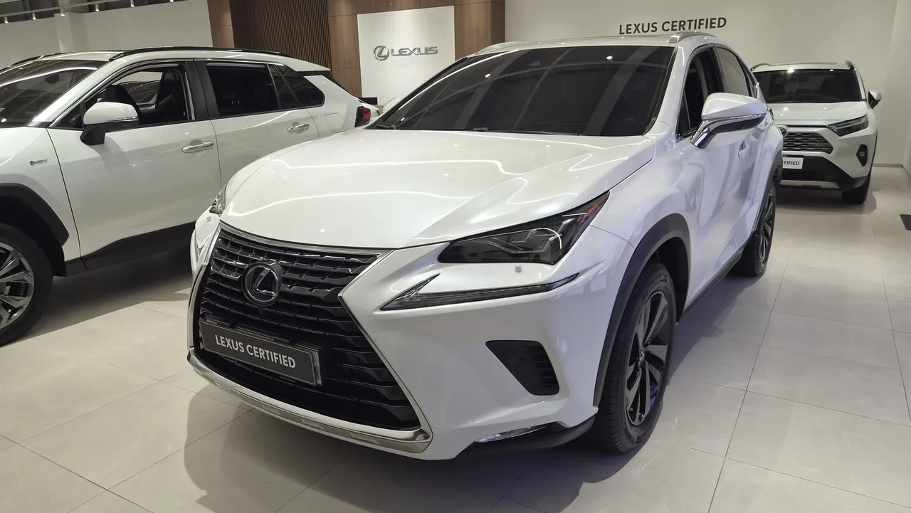 2021 Lexus NX Executive
