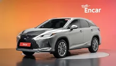 2022 Lexus RX Executive, серо-серебристый — фото 1