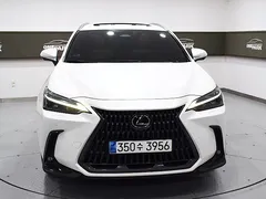 2024 Lexus NX Premium, белый — фото 2