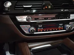 2022 BMW 5-Series 530i Luxury — фото 15