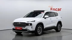 2022 Hyundai Santa Fe HEV 1.6 4WD — фото 13