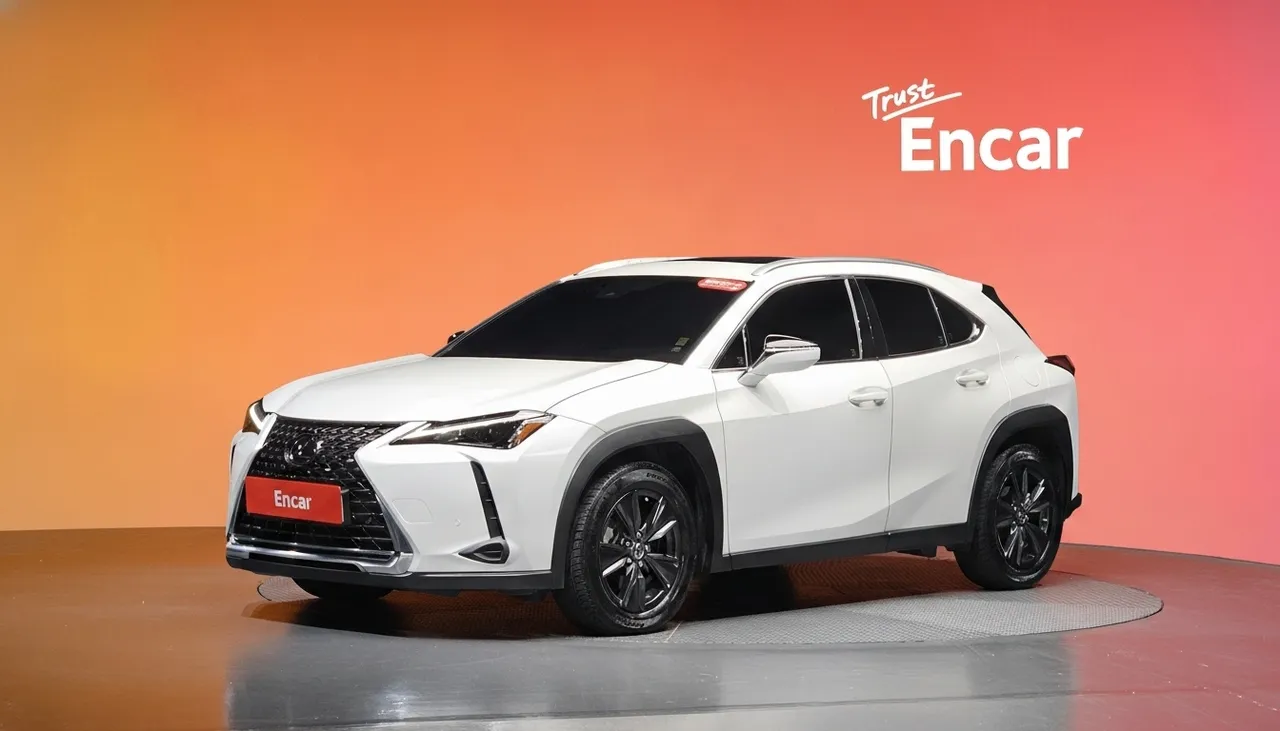 2024 Lexus UX 2.0 2WD
