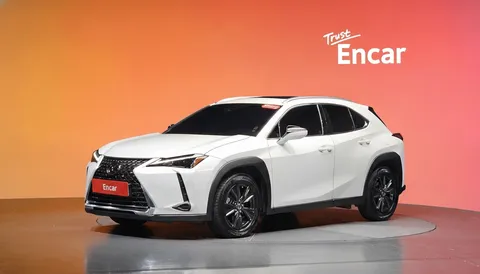 2024 Lexus UX 2.0 2WD