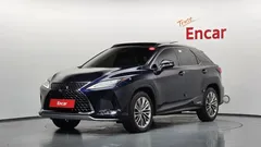 2021 Lexus RX Executive, синий — фото 12