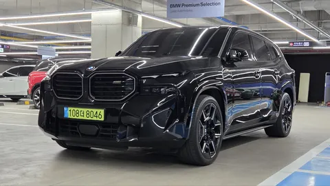 2023 BMW XM 4.4