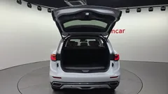 2022 Renault-KoreaSamsung QM6 2.0 LPe Premiere 2WD, белый — фото 20
