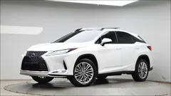 2022 Lexus RX Executive, белый — фото 1
