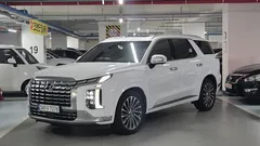 2023 Hyundai Palisade Diesel 2.2 4WD — фото 11