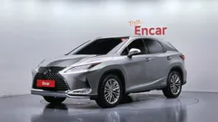 2021 Lexus RX Executive, серый — фото 11
