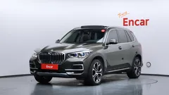 2023 BMW X5 xDrive 30d xLine, 연금색 — фото 1