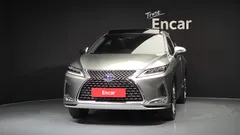 2021 Lexus RX Executive, 연금색 — фото 3