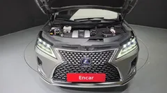 2021 Lexus RX Executive, 연금색 — фото 6