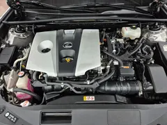 2021 Lexus ES Luxury Plus, 연금색 — фото 6