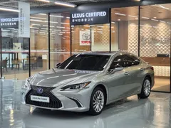 2021 Lexus ES Luxury Plus, 연금색 — фото 11