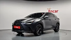 2024 Lexus NX Premium, серый — фото 1