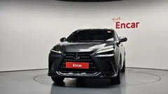 2024 Lexus NX Premium, серый — фото 3
