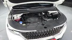 2023 Kia Carnival Gasoline 9-Seater Noblesse — фото 6