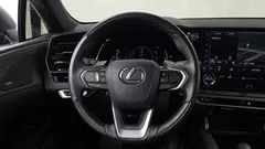 2023 Lexus RX Luxury, серый — фото 13