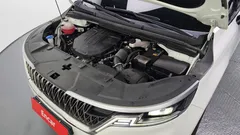 2023 Kia Carnival Diesel 9-Seater Prestige — фото 6