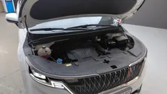 2023 Kia Carnival Gasoline 9-Seater Signature — фото 6