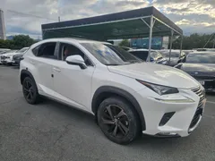 2021 Lexus NX Executive, белый — фото 4