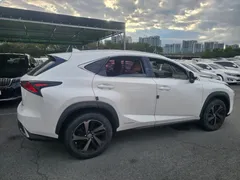 2021 Lexus NX Executive, белый — фото 5