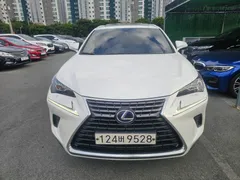2021 Lexus NX Executive, белый — фото 13