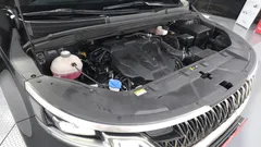 2023 Kia Carnival Gasoline 9-Seater Signature — фото 6