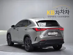 2023 Lexus NX Premium, серо-серебристый — фото 6
