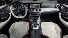 2022 Mercedes-Benz AMG GT 4Door 43 4MATIC+ Special Edition, 자주색 — фото 7
