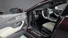 2022 Mercedes-Benz AMG GT 4Door 43 4MATIC+ Special Edition, 자주색 — фото 10